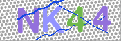 キャプチャ画像