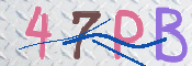 キャプチャ画像