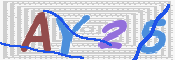 キャプチャ画像