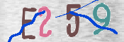 キャプチャ画像