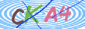 キャプチャ画像