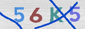 キャプチャ画像