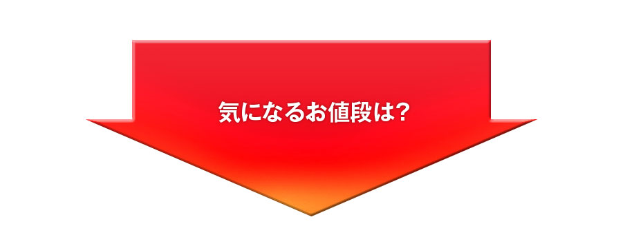 気になるお値段は？